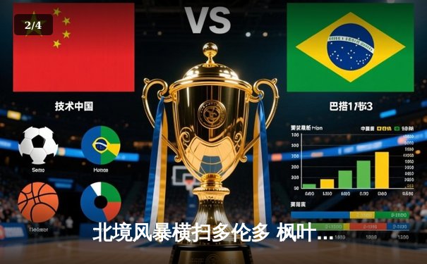 北境风暴横扫多伦多 枫叶队加时绝杀延续季后赛希望 - 2