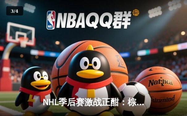 NHL季后赛激战正酣：棕熊队加时绝杀闪电队，大比分2-1领先 - 3