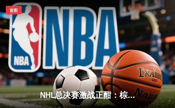 NHL总决赛激战正酣：棕熊队加时绝杀雪崩，总比分扳成2-2平