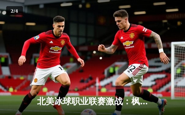 北美冰球职业联赛激战：枫叶队加时绝杀黑鹰，马尔纳上演帽子戏法 - 2