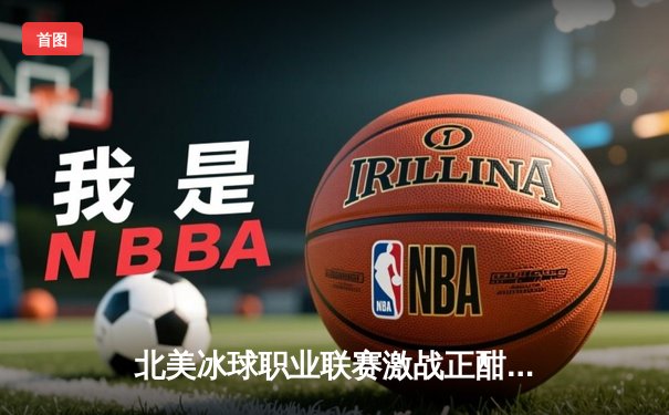 北美冰球职业联赛激战正酣：多伦多枫叶队加时绝杀波士顿棕熊队