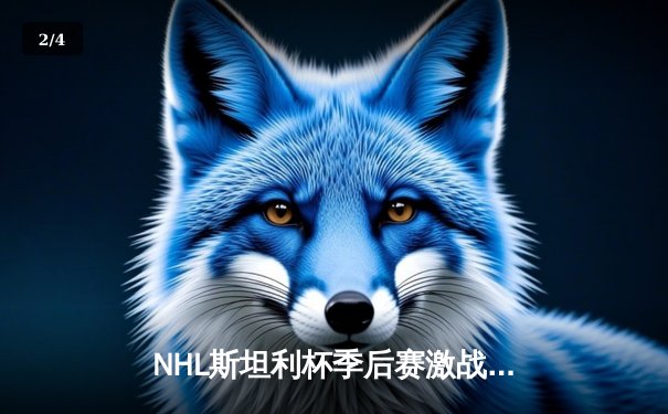 NHL斯坦利杯季后赛激战正酣，纽约游骑兵加时绝杀挺进东决 - 2
